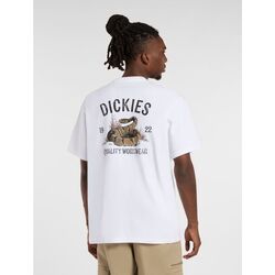 Textil Homem T-shirts e Pólos Dickies SNAKE TEE - DK0A4Z990-WH1 WHITE Branco