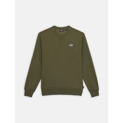 Textil Homem Sweats Dickies SUMMERDALE SWEATSHIRT - DK0A4Y6Q-MGR1 MILITARY GREEN Verde