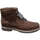 Sapatos Homem Botas baixas Daniel Hechter  Castanho