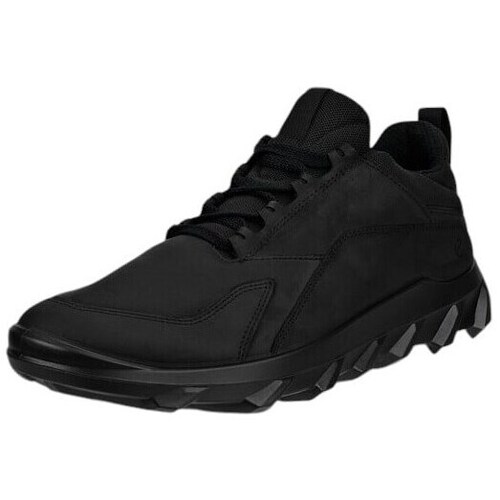 Sapatos Homem Sapatos & Richelieu Ecco 82031402001 