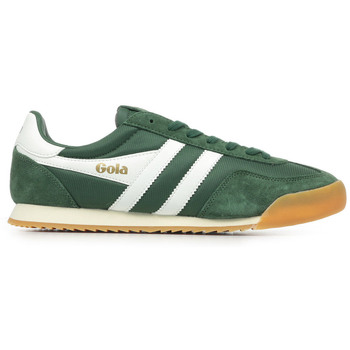 Sapatos Homem Sapatilhas Gola Europa Verde