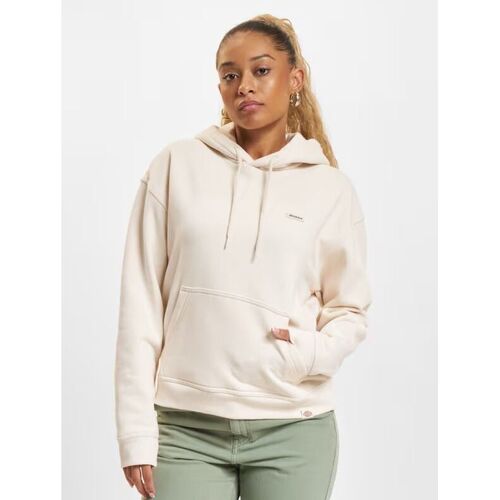 Textil Mulher Sweats Dickies CLANCY HD W - DK0A4Z2W-F901 Cinza