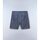 Textil Homem Shorts / Bermudas Napapijri N-MURLO - NP0A4IBU-G1YI STORMY WEAT Cinza