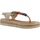 Sapatos Mulher Sandálias Porronet 3144P Castanho