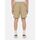 Textil Homem Shorts / Bermudas Dickies PELICAN RAPIDS  - DK0A4XB2-DS01 DESERT SAND Bege