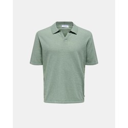 Textil Homem T-Shirt mangas curtas Only & Sons  22031851 GEORGE Verde