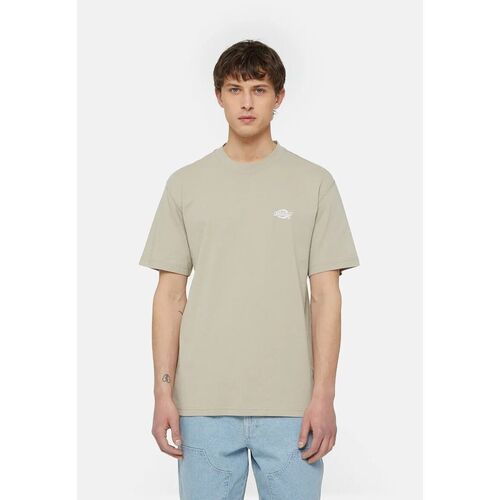 Textil Homem T-shirts e Pólos Dickies SUMMERDALE SS - DK0A4YA-SS01 SANDSTONE Bege