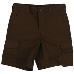 Textil Criança Shorts / Bermudas Dickies DK0A862Z Verde