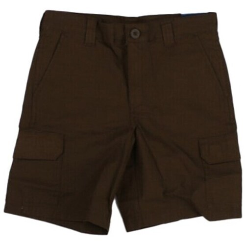 Textil Criança Shorts / Bermudas Dickies DK0A862Z Verde