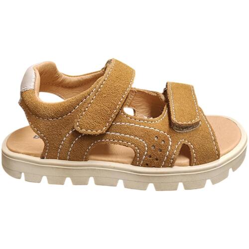 Sapatos Criança Sandálias Balocchi BART Castanho