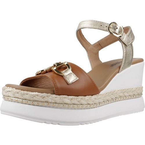 Sapatos Mulher Sandálias NeroGiardini E513552D Castanho