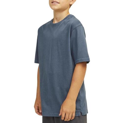 Textil Rapaz T-shirts e Pólos Jack & Jones  Azul