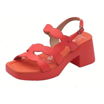Sapatos Mulher Sandálias Wonders D-1020 Hura Wild Vermelho