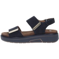 Sapatos Mulher Sandálias Ara  Azul