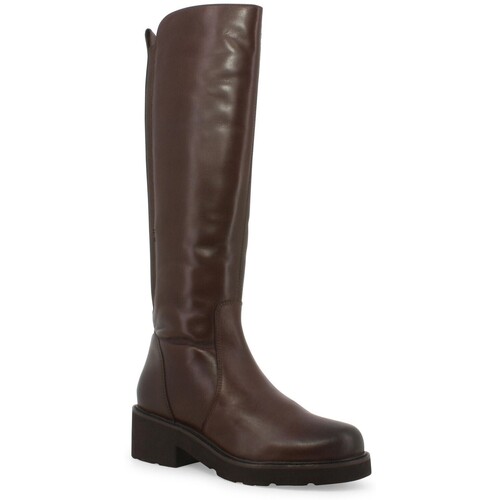 Sapatos Mulher Botas Melluso MEL-RRR-034305-247170 Castanho