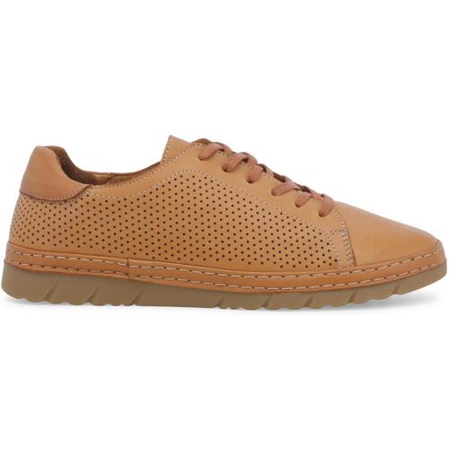 Sapatos Mulher Sapatilhas Melluso K70006Z-252115 Castanho