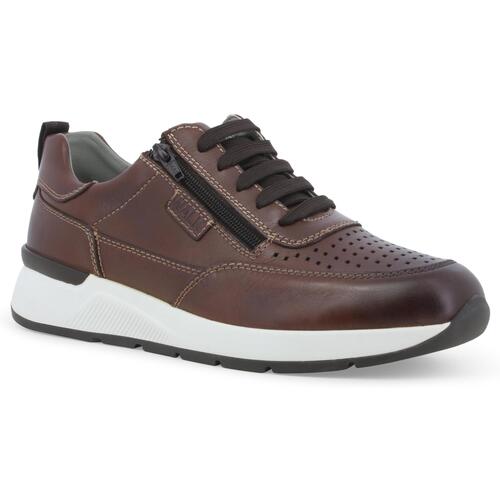 Melluso U55266Z-248407 Castanho