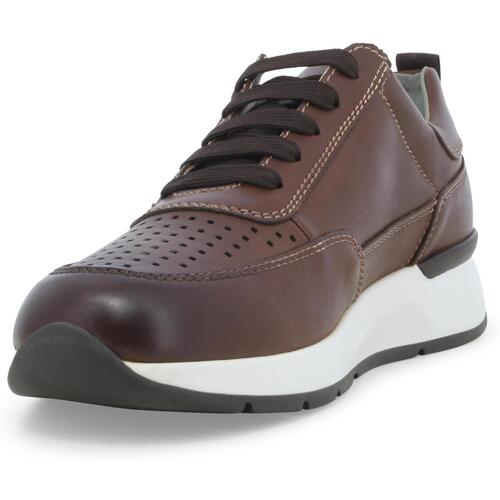 Melluso U55266Z-248407 Castanho