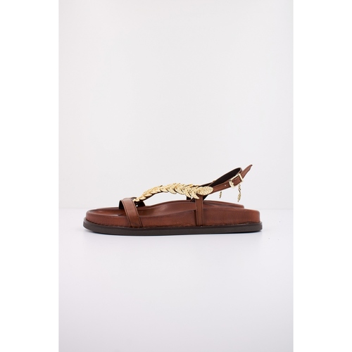 Caryatis 682609C Castanho