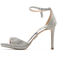 Sapatos Mulher Sapatilhas Steve Madden SMSEVERS-R-968 Prata