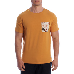 Textil Homem T-Shirt mangas curtas Inmyhood HS24MTS30-CARAMEL Castanho