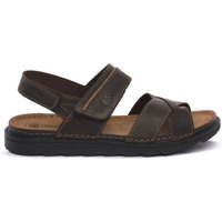 Sapatos Homem Sandálias Lumberjack M0119 ASHER Castanho