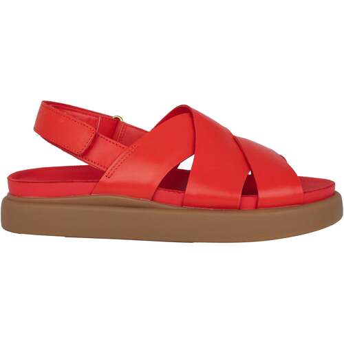 Sapatos Mulher Sandálias Clarks Aristella Sun Vermelho