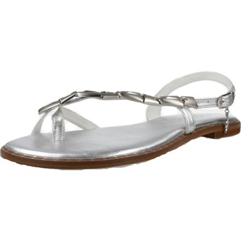 Caryatis 621606C