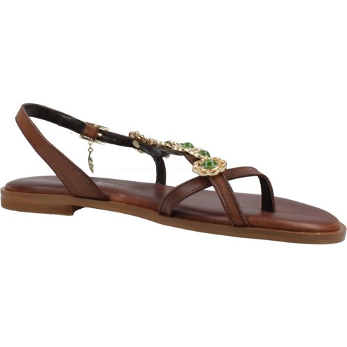 Caryatis 621626C Castanho