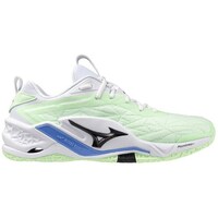 Sapatos Homem Desportos indoor Mizuno Wave Stealth Neo 2 