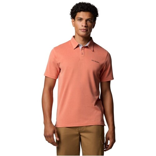Textil Homem T-Shirt mangas curtas Columbia Nelson Point 