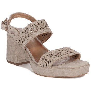 Sapatos Mulher Sapatos & Richelieu Maciejka 5522A10001 
