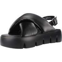 Sapatos Mulher Sandálias Steve Madden BACKTRACK Preto