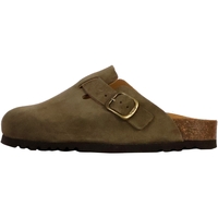 Sapatos Mulher Chinelos Scholl 259463 Cáqui