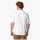 Textil Criança T-shirts e Pólos K-Way Polo Outros