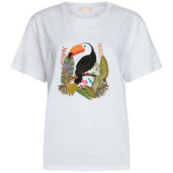 Textil Criança T-shirts e Pólos Liu Jo T-shirt Outros