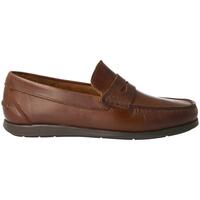 Sapatos Homem Mocassins Pielsa  Castanho