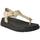 Sapatos Mulher Sapatilhas FitFlop  Bege