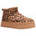 Sapatos Mulher Botins La Modeuse 73641_P173757 Multicolor