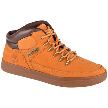 Sapatos Homem Botas baixas Timberland Davis SQ Hiker Laranja
