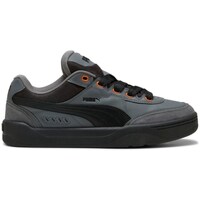 Sapatos Homem Sapatos & Richelieu Puma Park Lifestyle Sk8 Cool 