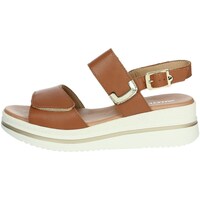 Sapatos Mulher Sandálias Valleverde VG2102 Outros