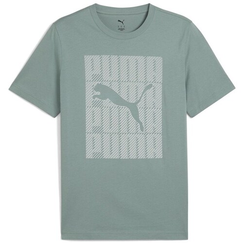 Puma Graphics Wording 