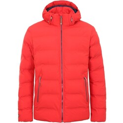 Textil Homem Casacos  Icepeak Ep Anson 