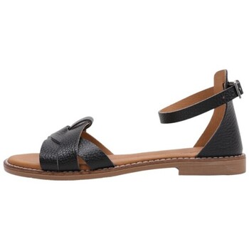 Sapatos Mulher Sandálias Sandra Fontan LISSA Preto