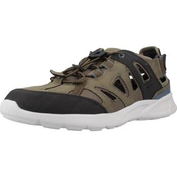 Sapatos Homem Sandálias Geox U SANZIO D Verde
