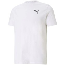 Textil Homem T-Shirt mangas curtas Puma 58672602 