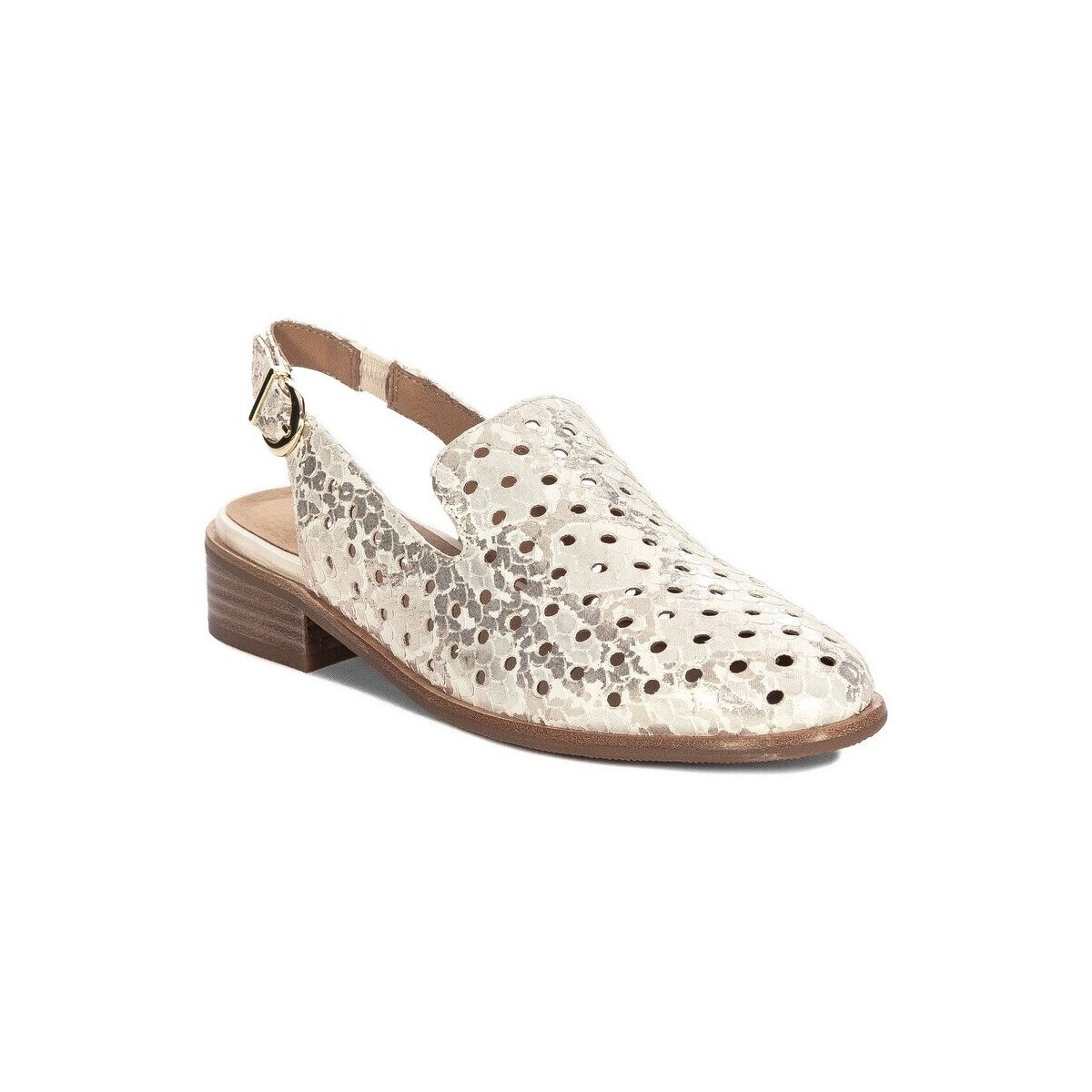 Sapatos Mulher Sapatos & Richelieu Maciejka N680504001 