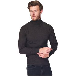 Textil Homem camisolas Le Cachemire Français CF-87_LOUP Cinza