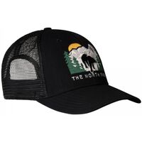 Acessórios Chapéu The North Face NF0A7WH396O1 - MUDDER TRUCKER-BLACK Preto